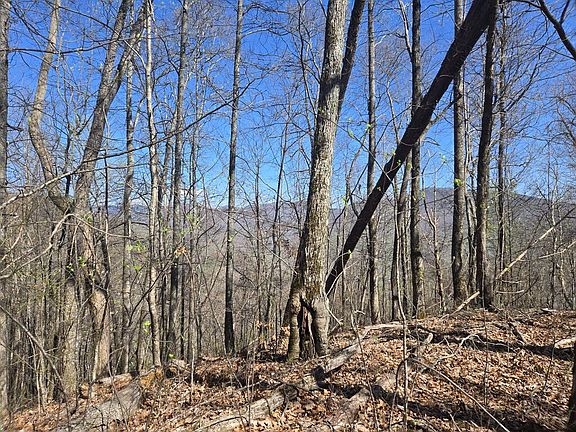 2nd image of 0 Brasstown Rd