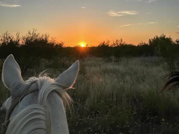 000 County Road 562, Devine, TX 78016