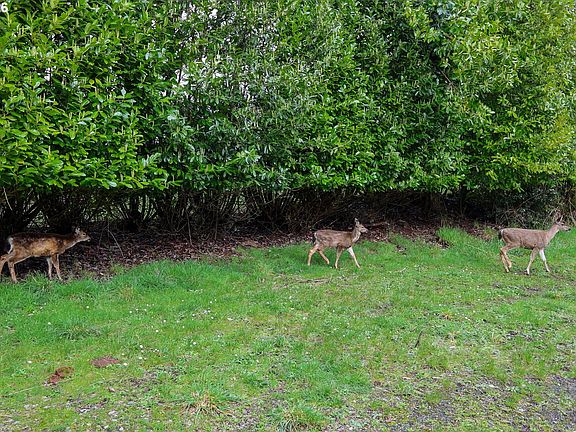 4th image of 62885 Isthmus Heights Rd