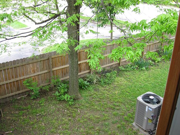Back side yard.