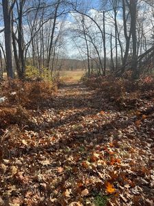 7 N Liberty St #7, Belchertown, MA, 01007