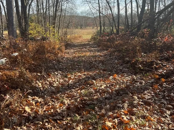 7 N Liberty St #7, Belchertown, MA 01007