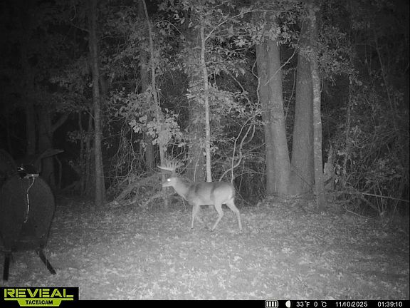 2nd image of 0 Morton Rankin County Line Rd