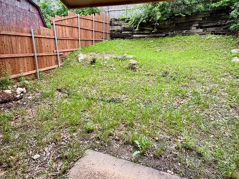 Fenced-in backyard