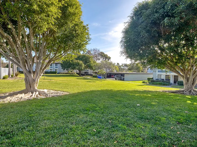 6904 Carnation Dr — Photo 28