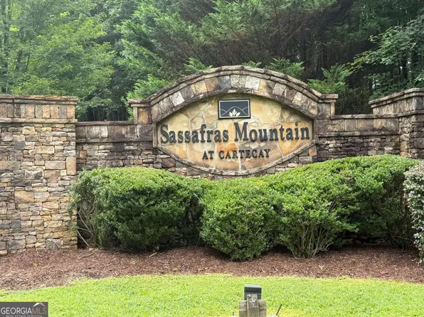 9 Foxpaw Leaf Ct #9, East Ellijay, GA 30536