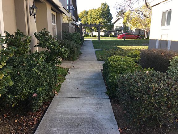 4th image of 102 Escobar Ct