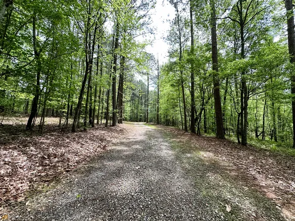 TRACT 2 Washington Rd #54.96, Lexington, GA 30648