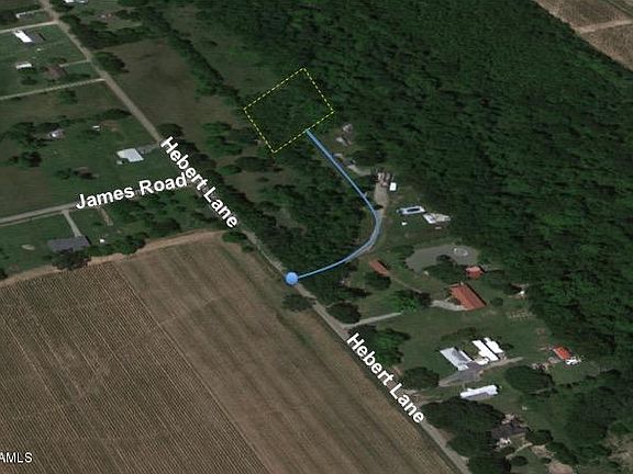 5th image of 1501 Hebert Ln