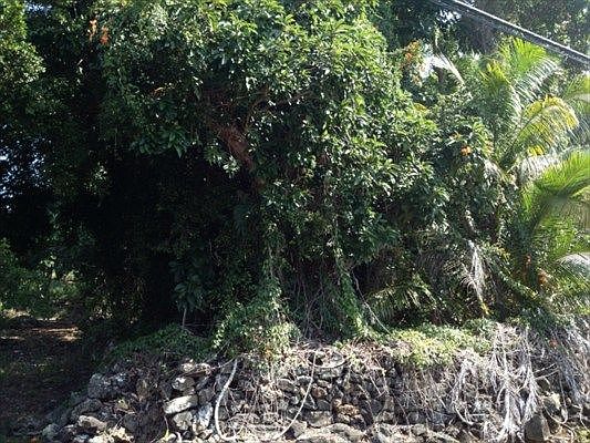 2nd image of 76-783 Hualalai Rd