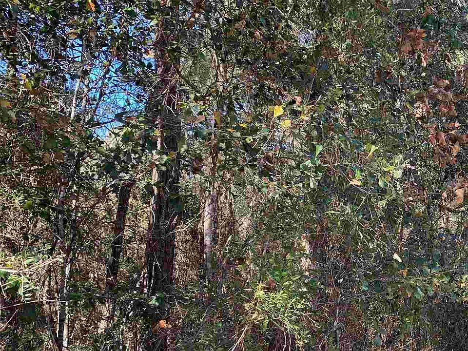 1st image of 0 Jomaureen Way