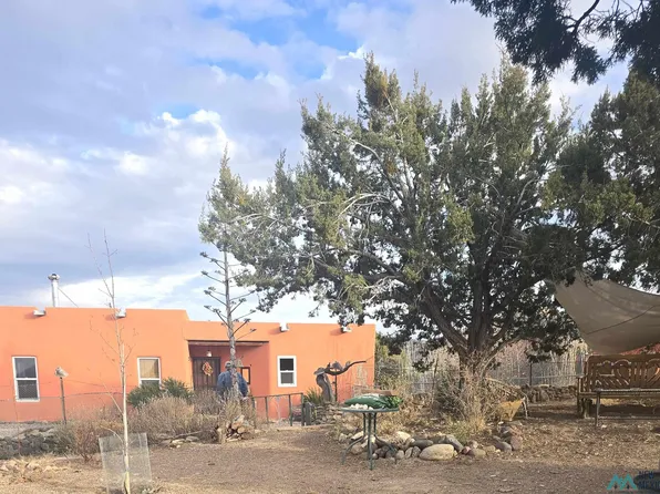 241 Hooker Loop, Gila, NM 88038