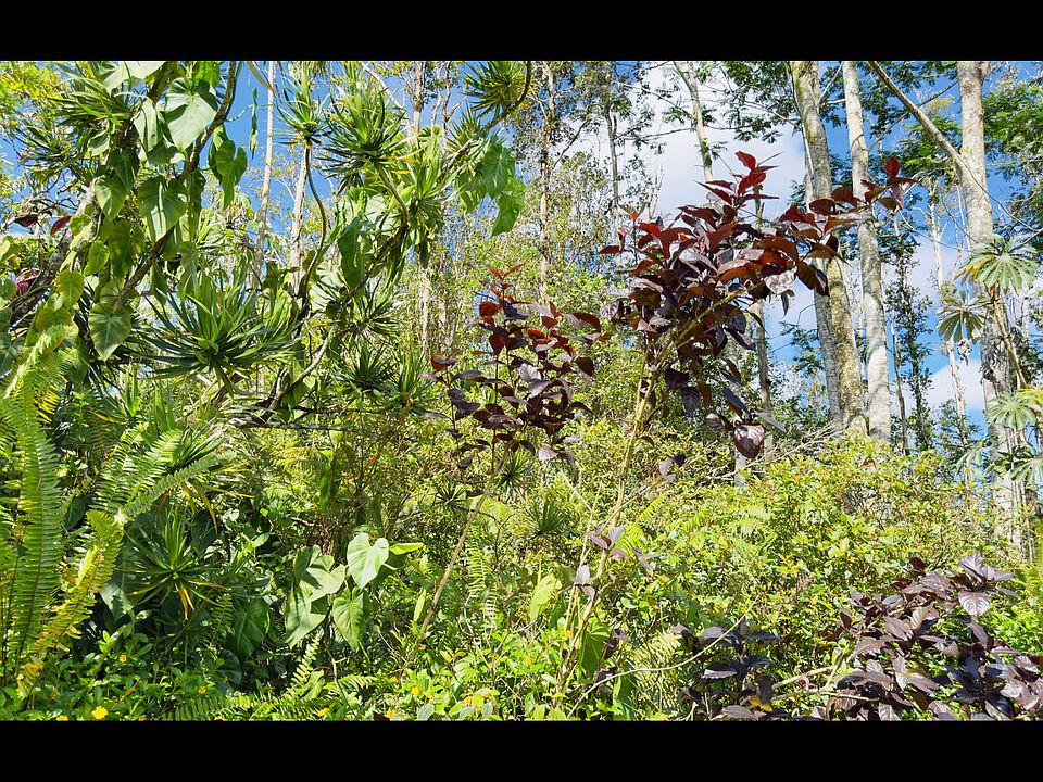 1st image of Coconut Dr Lot 78