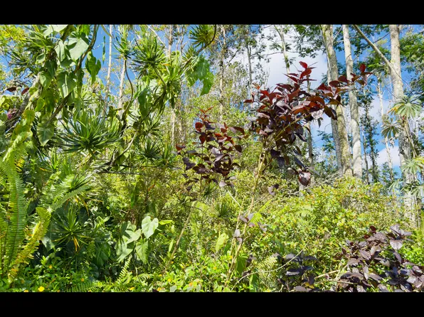 Coconut Dr Lot 78, Pahoa, HI 96778
