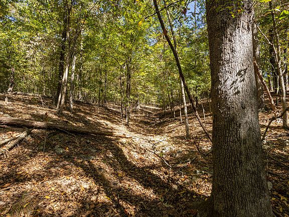 3rd image of 000 Farm Road 1247