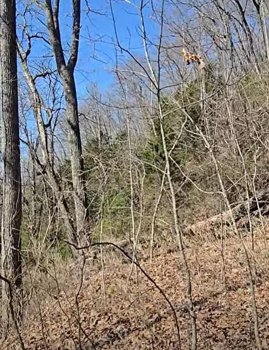 2nd image of 30 Black Mountain Rd