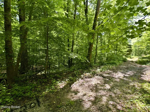 2 Ambassador Shores Dr, Leitchfield, KY 42754