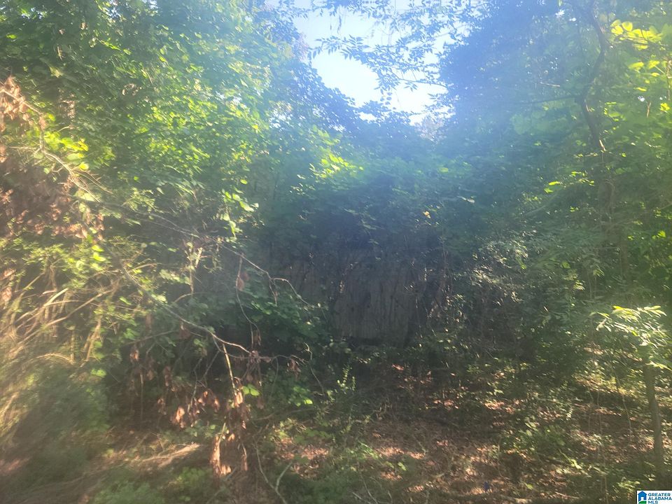 1st image of 8481 Grande Vista Ln #8481