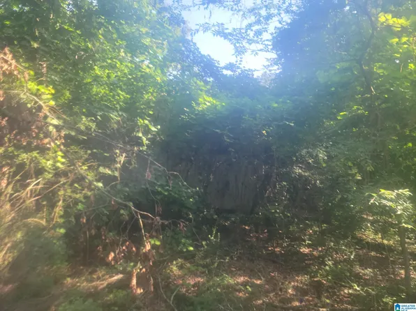 8481 Grande Vista Ln #8481, Bessemer, AL 35023