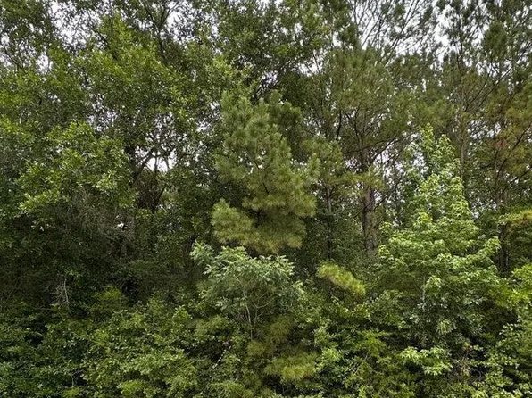 State Highway 613, Moss Pt, MS 39562