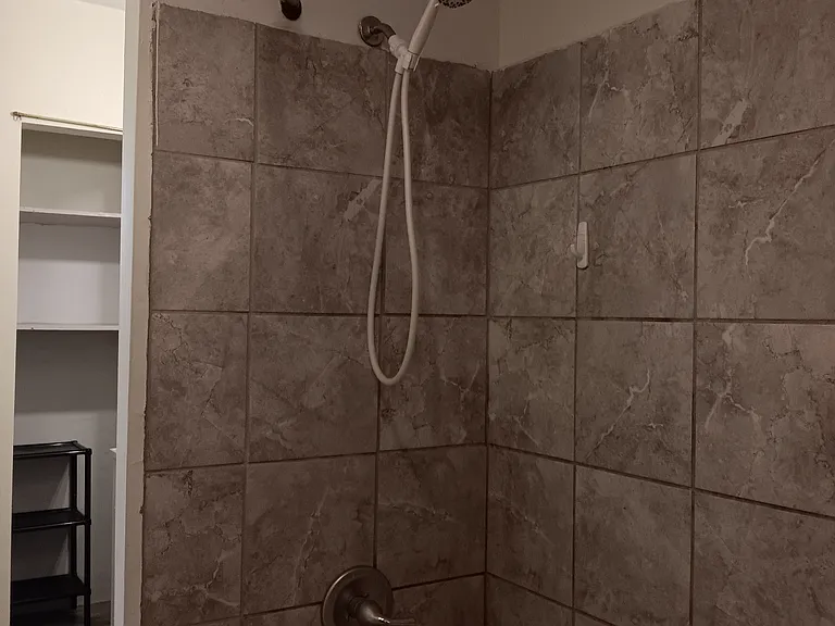 Tub and tiled shower