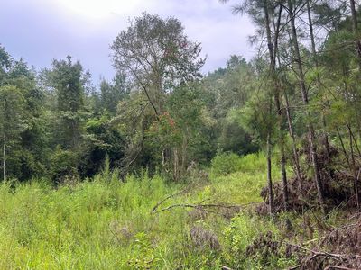 1558 John Eddy Ln, Ponce De Leon, FL, 32455