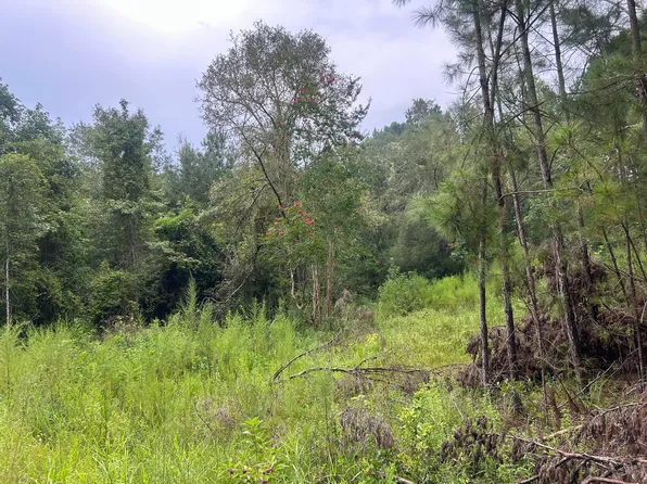 1558 John Eddy Ln, Ponce De Leon, FL 32455