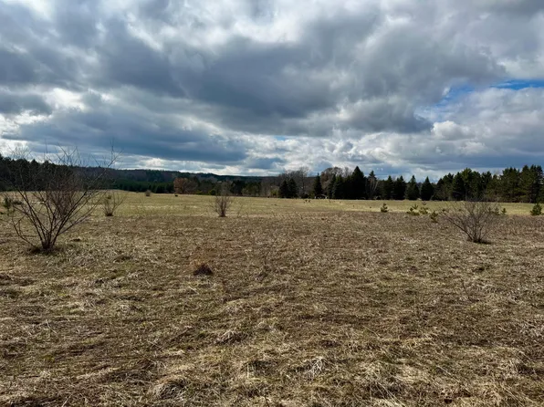 V/l S Saddler Rd, Chase, MI 49623