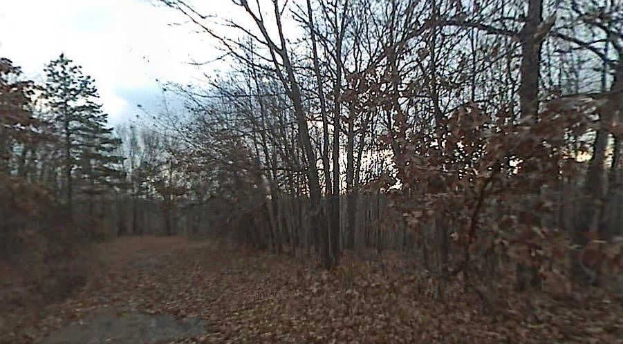 1st image of 16-19395 Alford