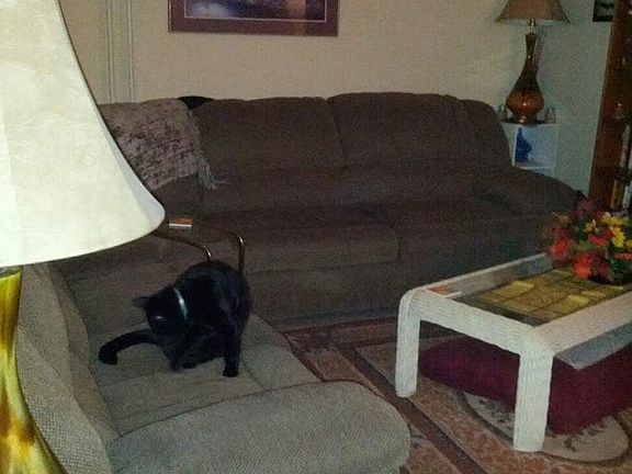 LG LR (1/2 bath added)