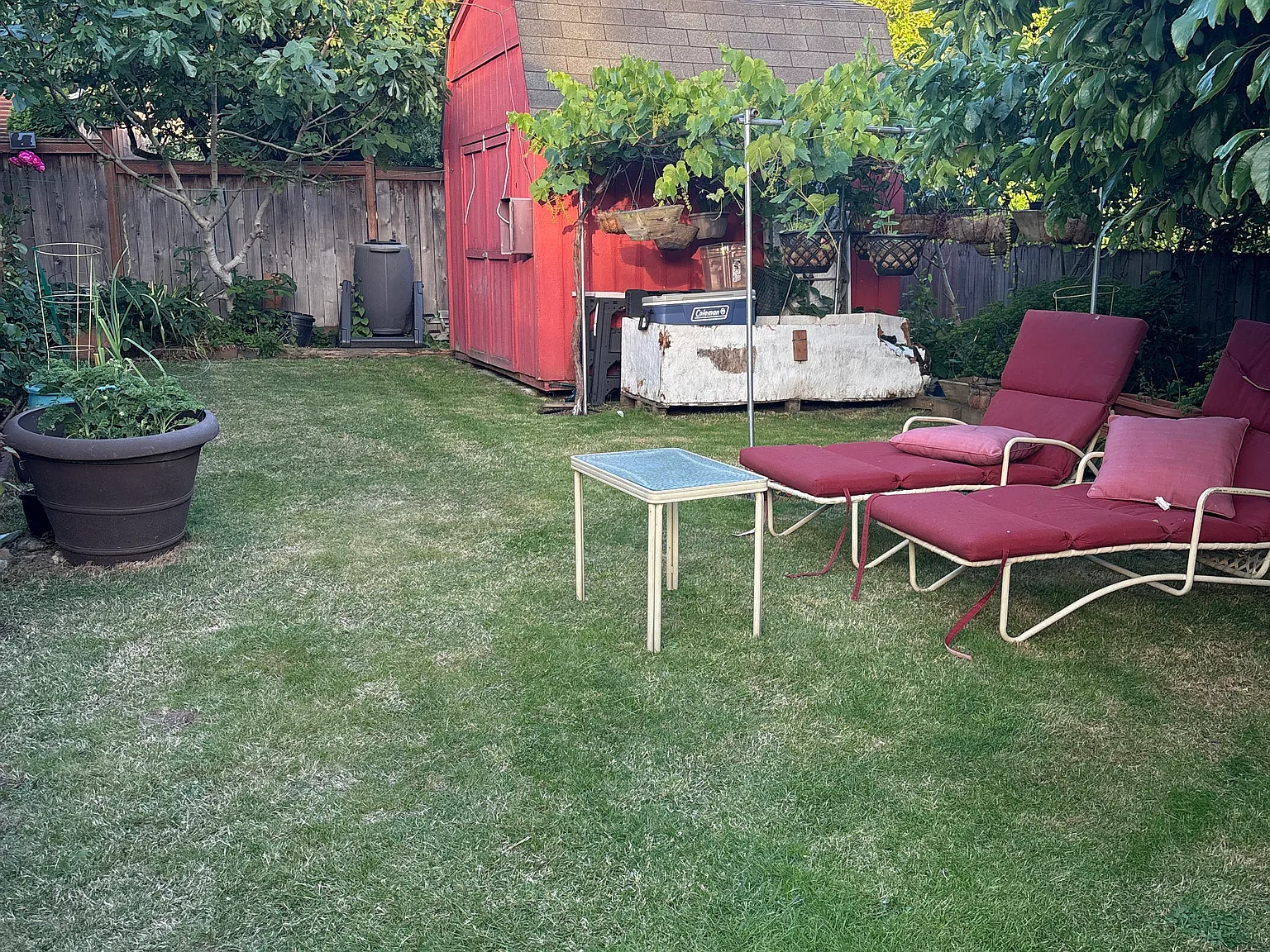 1 bed, 1250 sqft, $1,100 — Photo 4