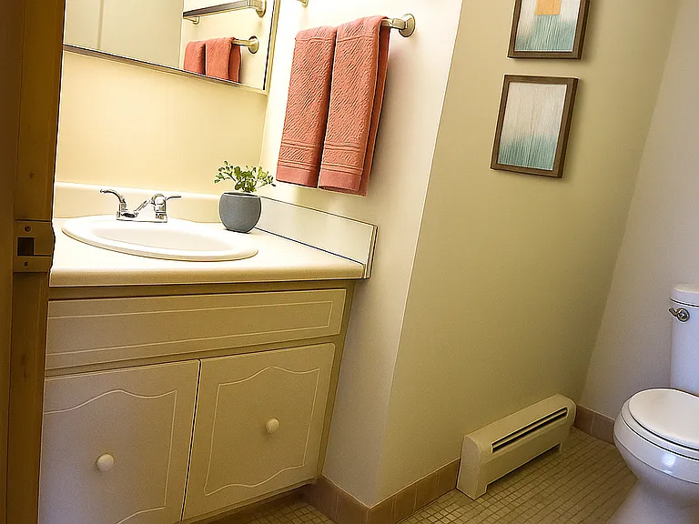 Virtually Staged half bath