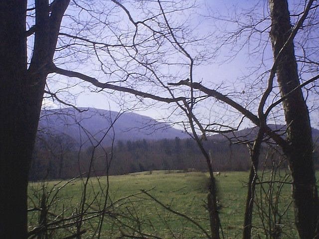 2nd image of 588 Basin Rd