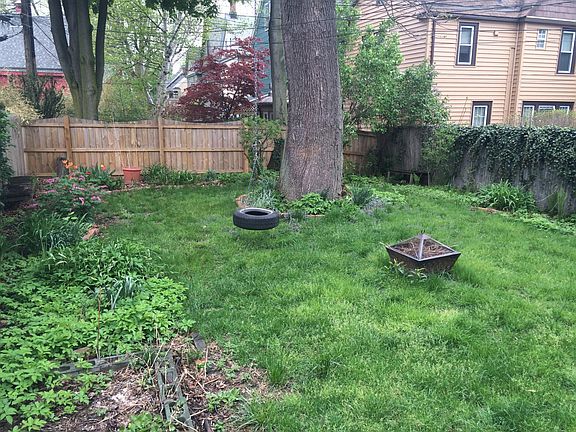 Back yard