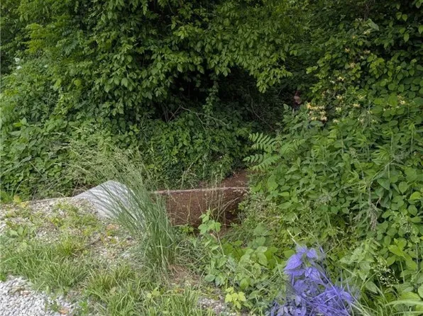 W Side of Old Babe Road, Vallonia, IN 47281