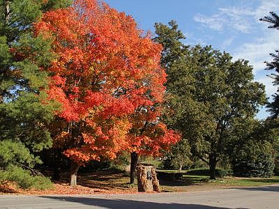 Welcome home in Fall
