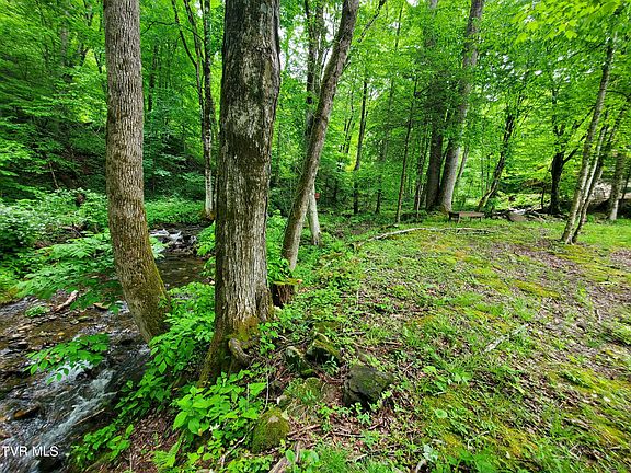 4th image of 206 Toms Creek Cir