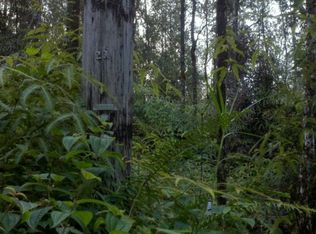 Nanawale Farms Rd LOT 24, Pahoa, HI 96778