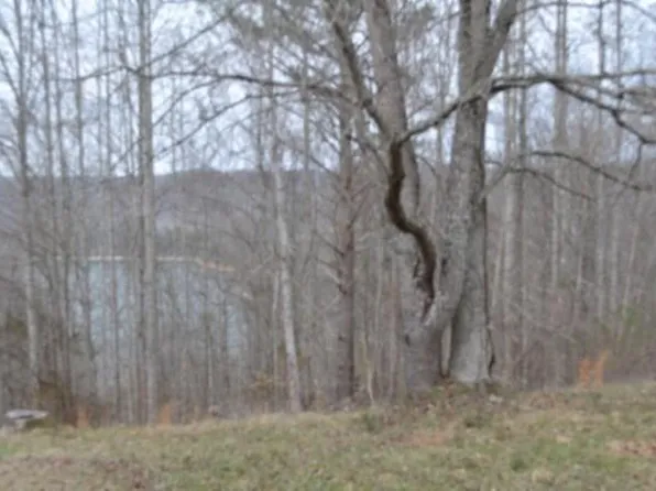 Lots 4&5 Fox Hill Rd, Baxter, TN 38544