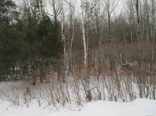 166 Joe Chamberlain Rd, Cherry Valley, NY 13320