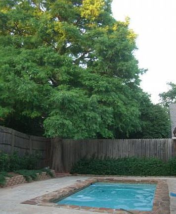 2nd image of 1505 Steeple Chase