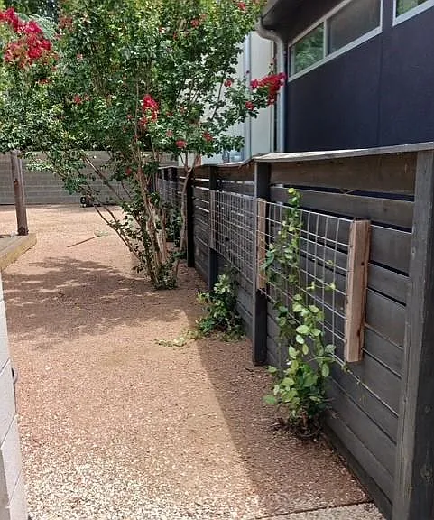 5920 Lux St — Photo 3