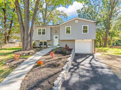 4218 Abercorn Rd, Knoxville, TN, 37921