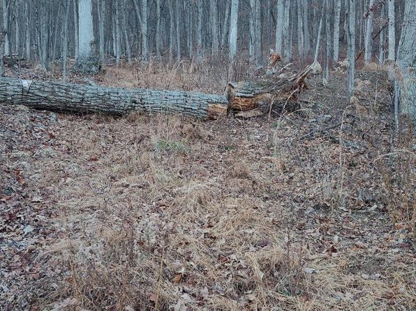 Dove Dr, Paw Paw, WV 25434