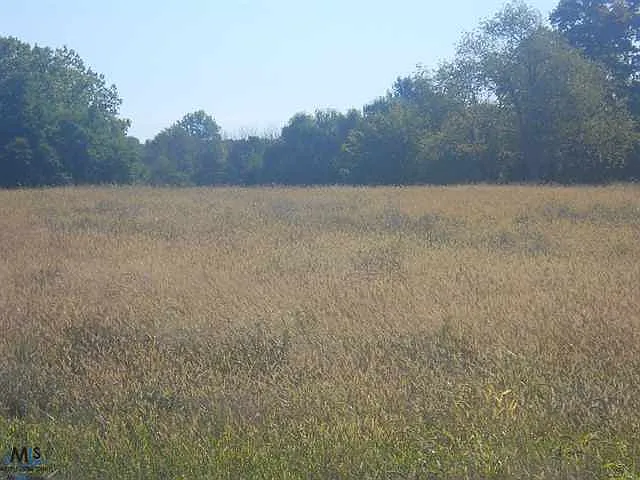 0 Memphis Ridge Rd photo 1