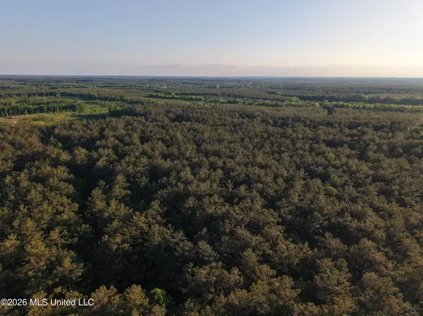 Stewart Weir Rd, Stewart, MS 39767