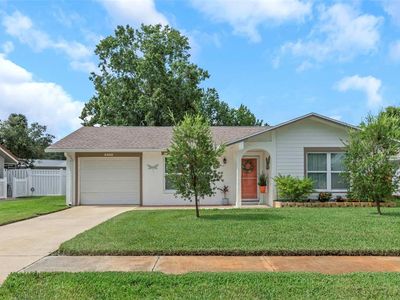 2405 Lighthouse Dr, Palm Harbor, FL, 34685