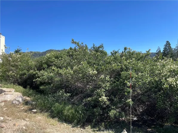 LOT 17 Lupin Way, Cedar Glen, CA 92321