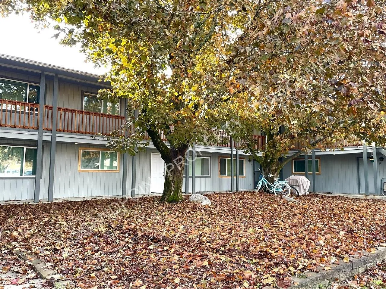 2 bed, 900 sqft, $1,100 — Photo 3