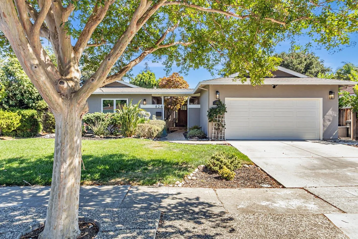 824 Buchser Way photo 1